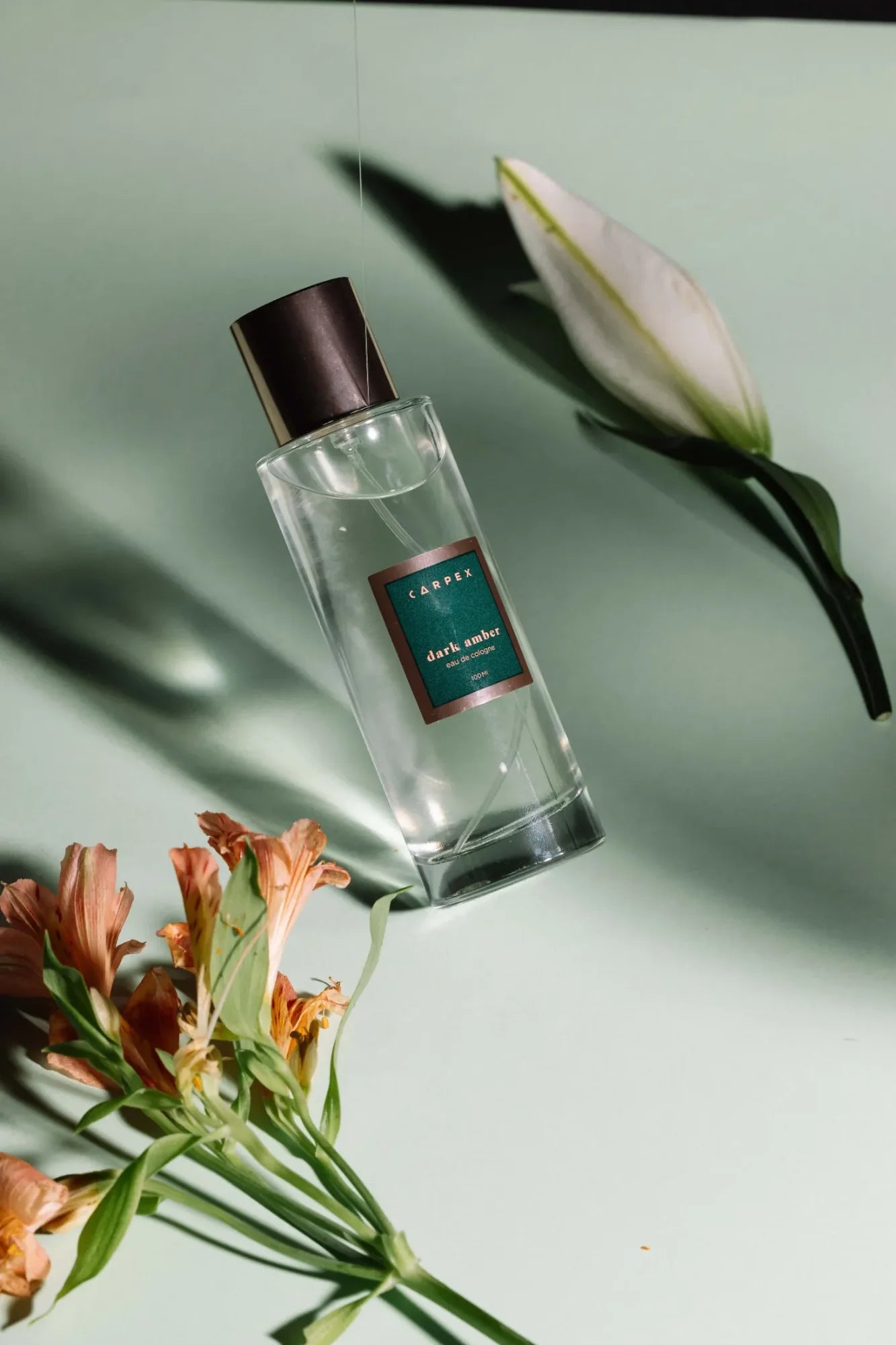 Yeşil zemin üzerinde havada asılı duran Carpex “Dark Amber” kolonyasının çağdaş ürün fotoğrafı. Pentome Studio’da çekilmiştir.
Contemporary product photo of Carpex “Dark Amber” cologne suspended midair on a mint-green background. Photographed at Pentome Studio.